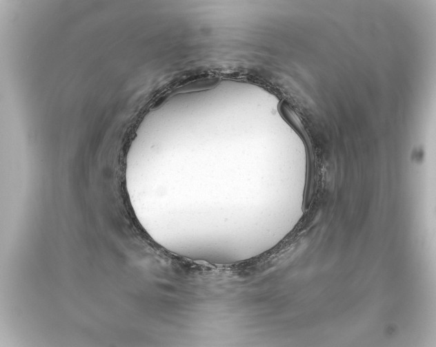 X0000093560961200711121010