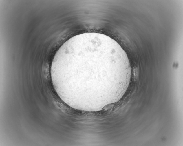 X0000093560963200711121010