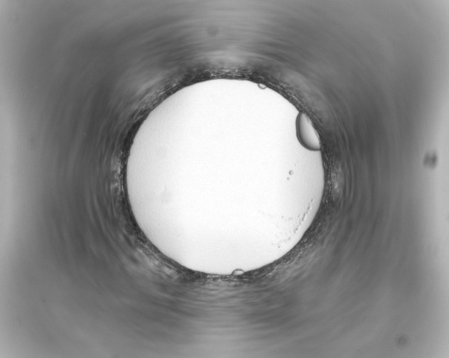 X0000093560964200711121010