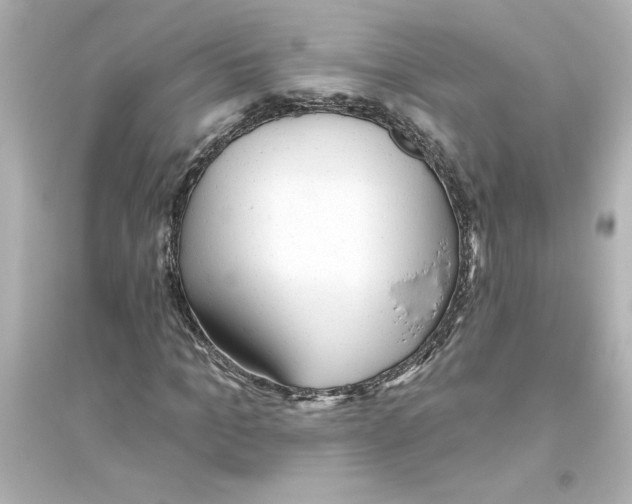 X0000093560965200711121010
