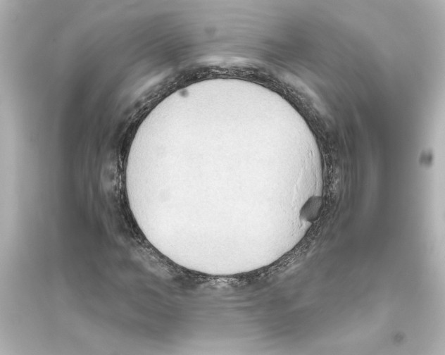 X0000093560966200711121010