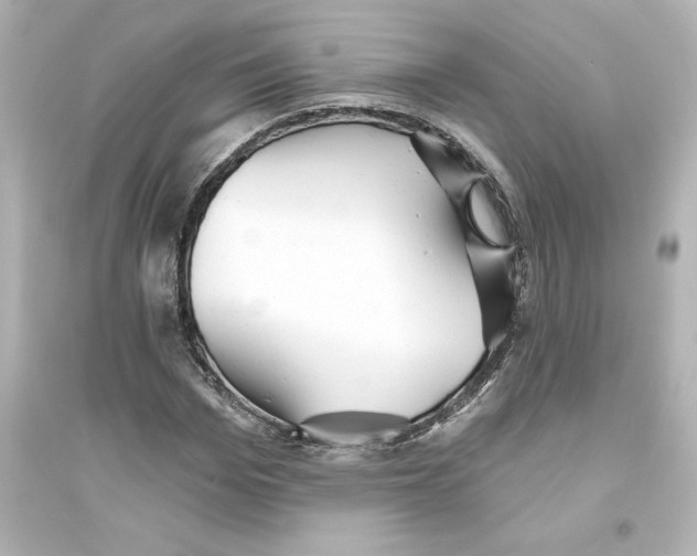X0000093560969200711121010