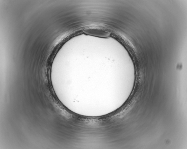 X0000093560970200711121010