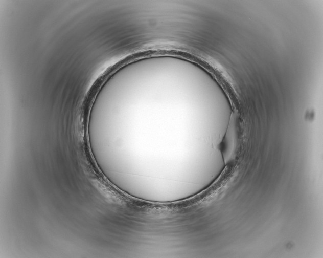 X0000093560973200711121010