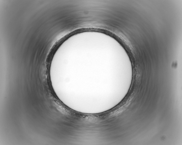 X0000093560974200711121010
