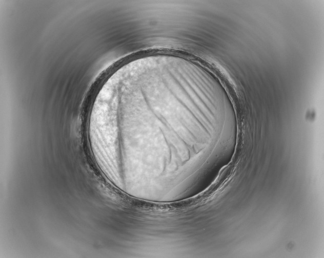 X0000093560975200711121010