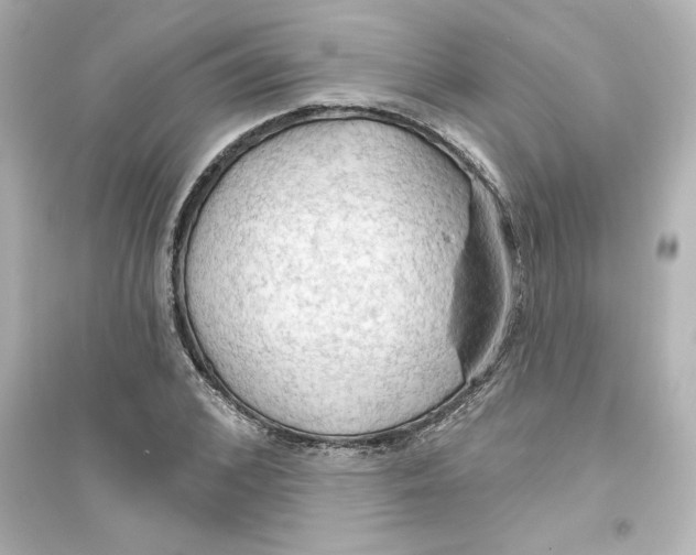 X0000093560976200711121010