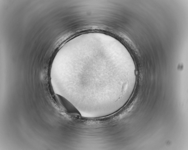 X0000093560977200711121010