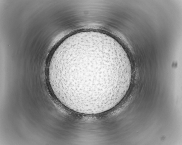X0000093560978200711121010