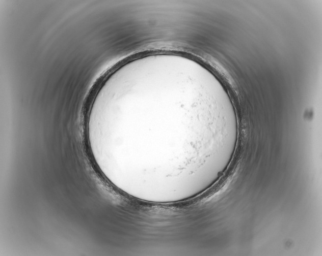 X0000093560981200711121010