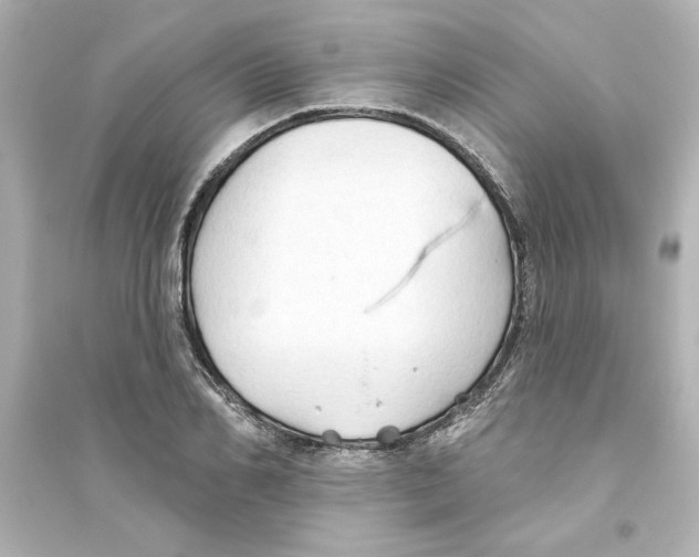 X0000093560982200711121010