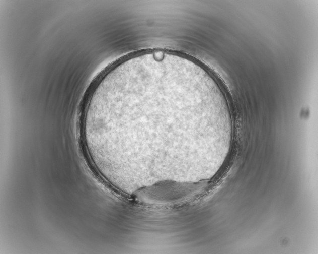 X0000093560983200711121010