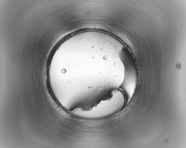 X0000093560984200711121010