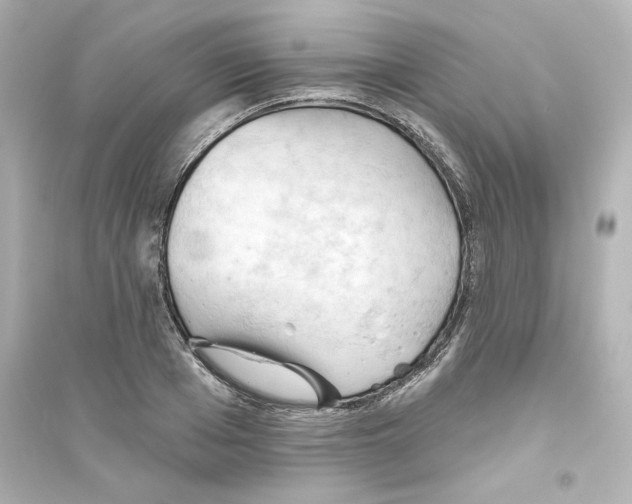 X0000093560985200711121010
