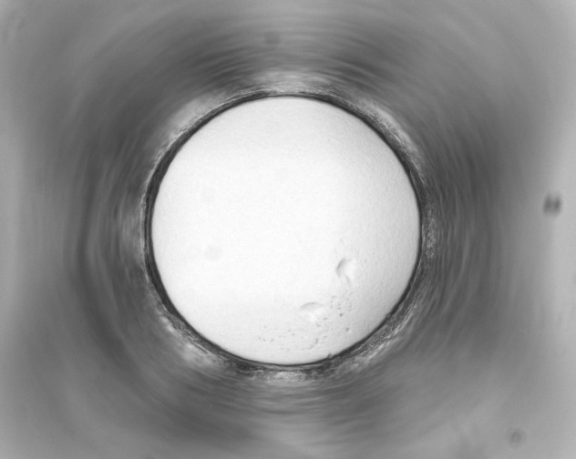 X0000093560986200711121010