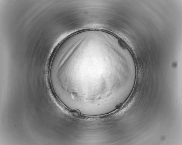 X0000093560989200711121010