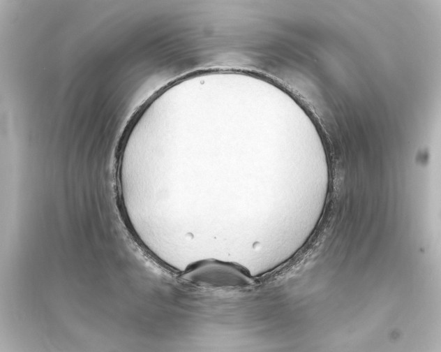 X0000093560990200711121010