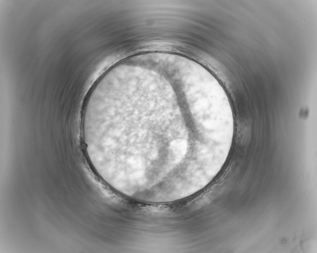 X0000093560994200711121010