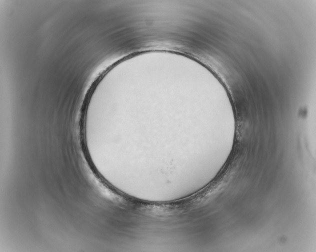 X0000093560995200711121010