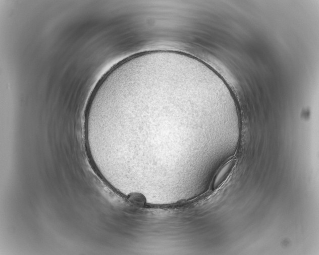 X0000093560996200711121010