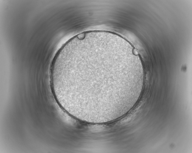 X0000093560998200711121010