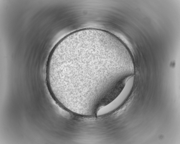 X0000093560999200711121010