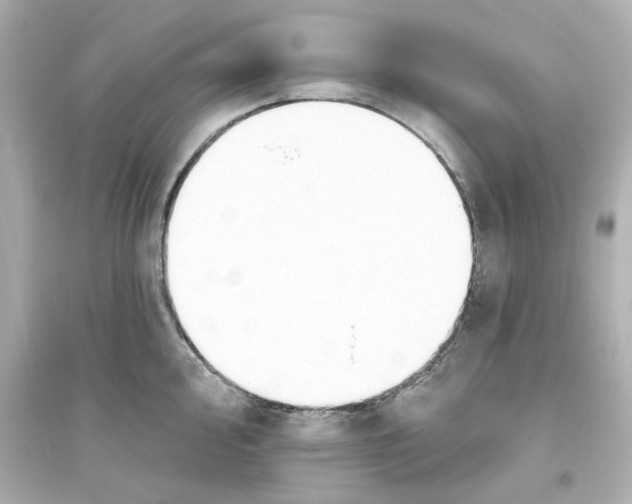 X0000093561000200711121010