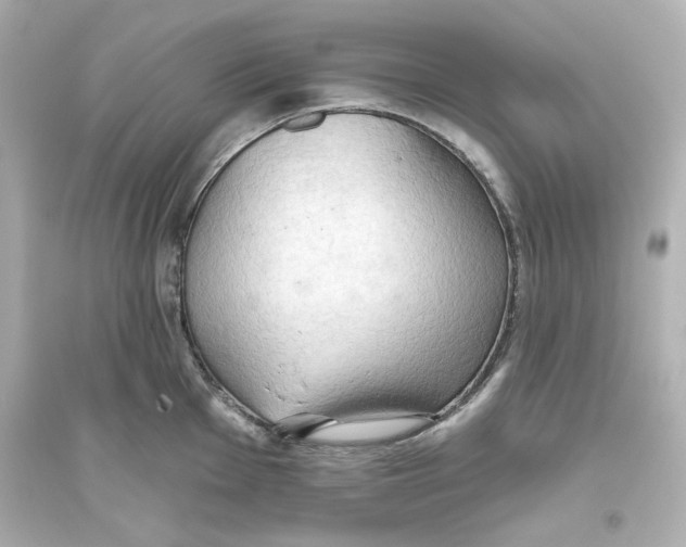X0000093561001200711121010
