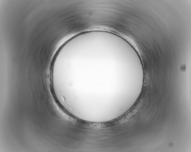 X0000093561003200711121010