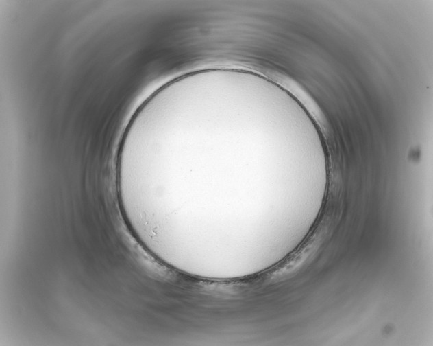 X0000093561004200711121010