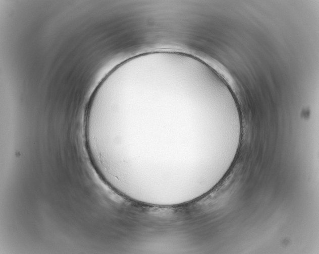 X0000093561006200711121010