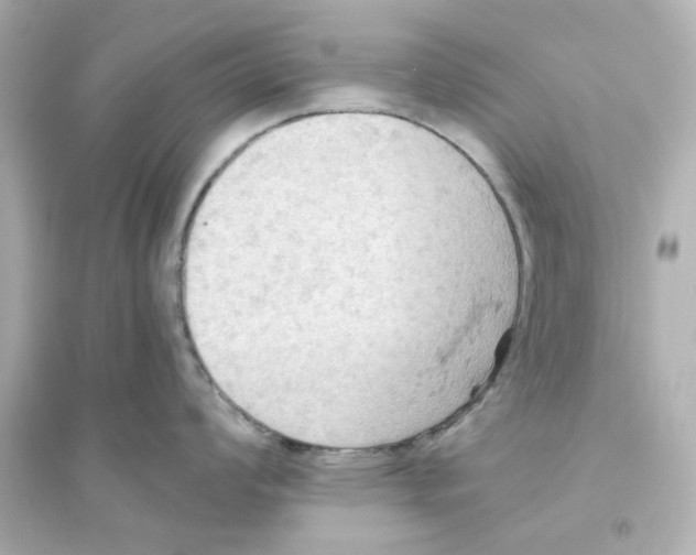 X0000093561008200711121010
