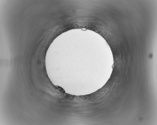 X0000093561009200711121009