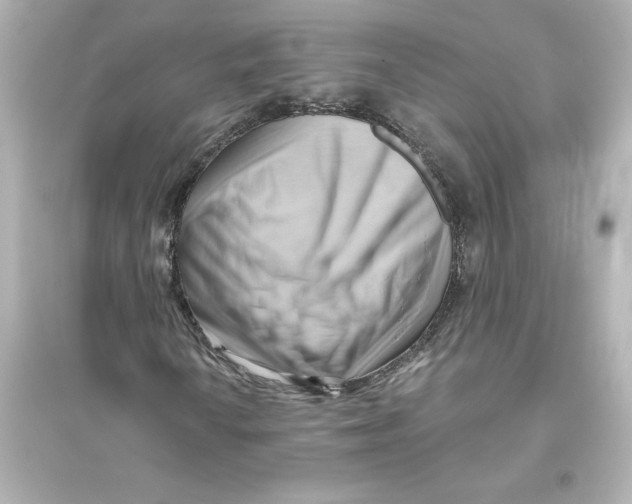 X0000093561010200711121009