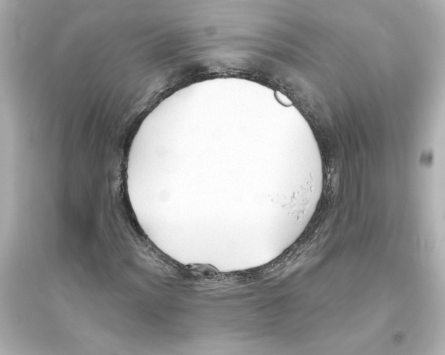 X0000093561012200711121009