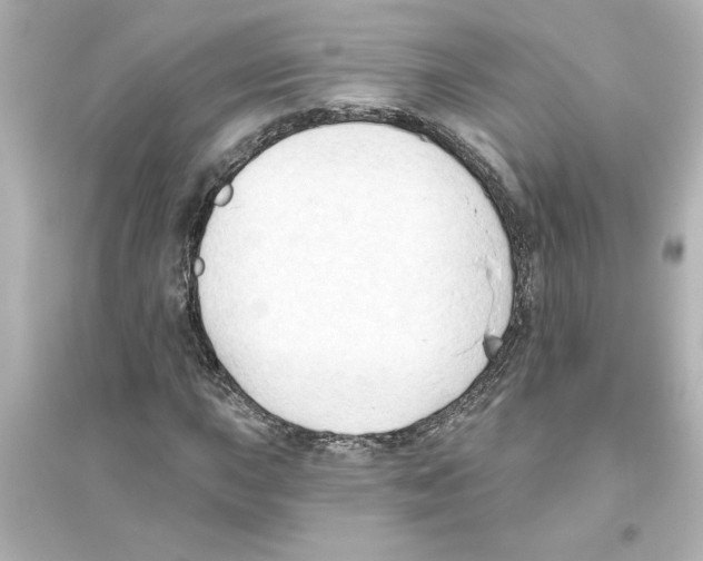 X0000093561015200711121009