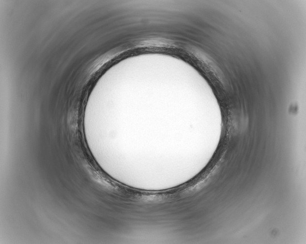 X0000093561017200711121009