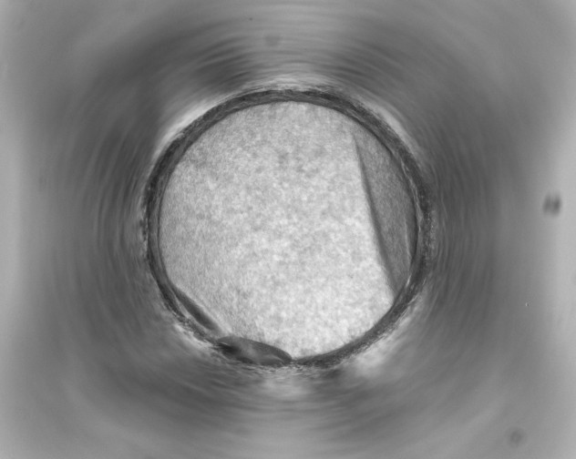 X0000093561018200711121009