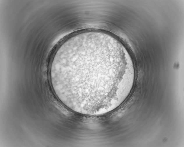 X0000093561019200711121009