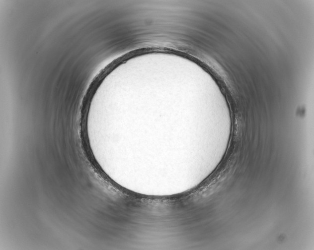 X0000093561020200711121009