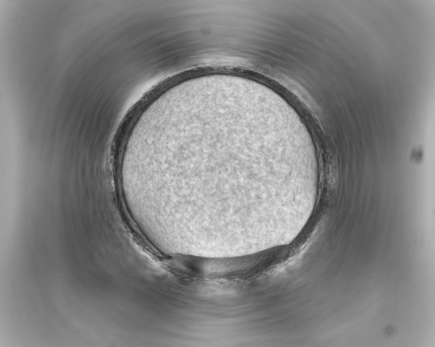 X0000093561022200711121009