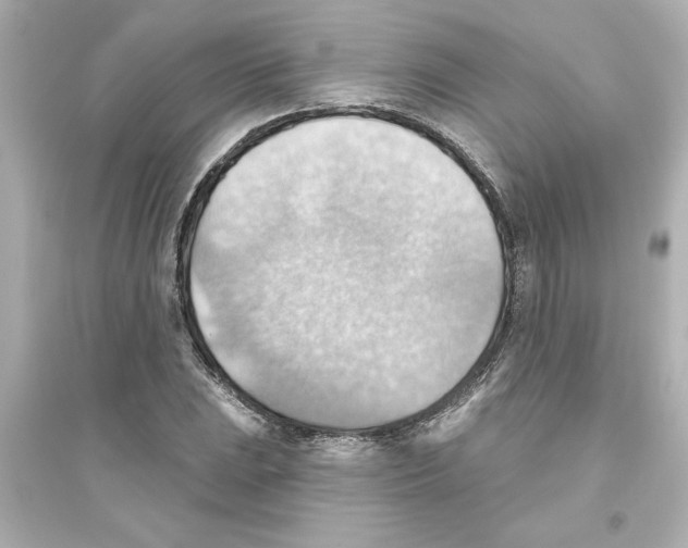 X0000093561023200711121009