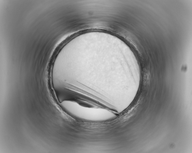X0000093561024200711121009