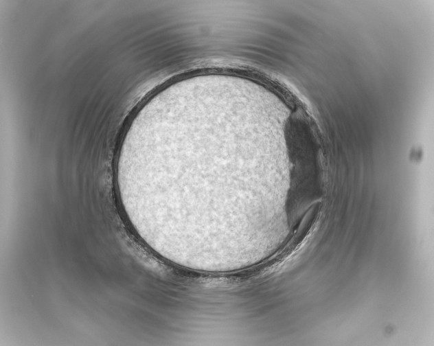 X0000093561025200711121009