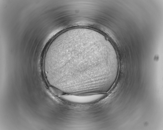 X0000093561026200711121009