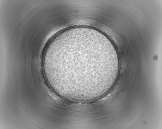X0000093561027200711121009