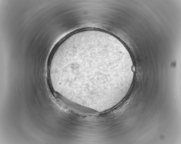 X0000093561028200711121009