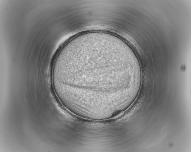 X0000093561030200711121009
