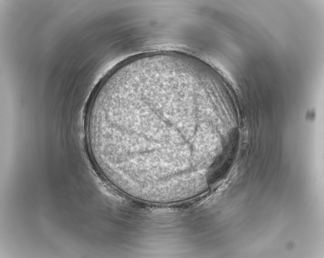 X0000093561031200711121009