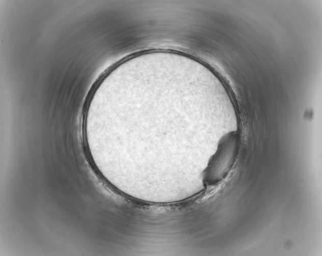 X0000093561032200711121009
